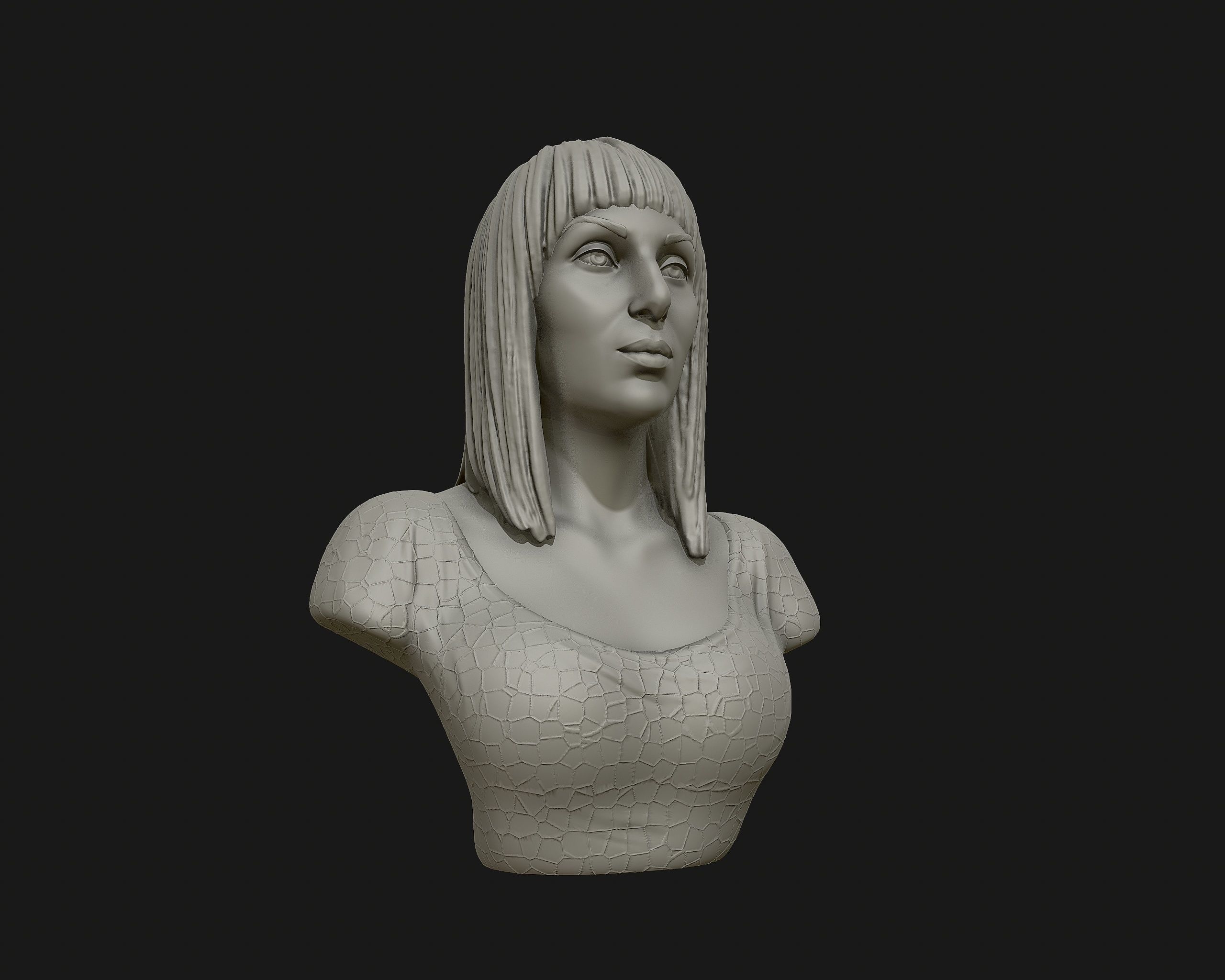 Cher portrait sculpture ready to 3D print 3D print model_4