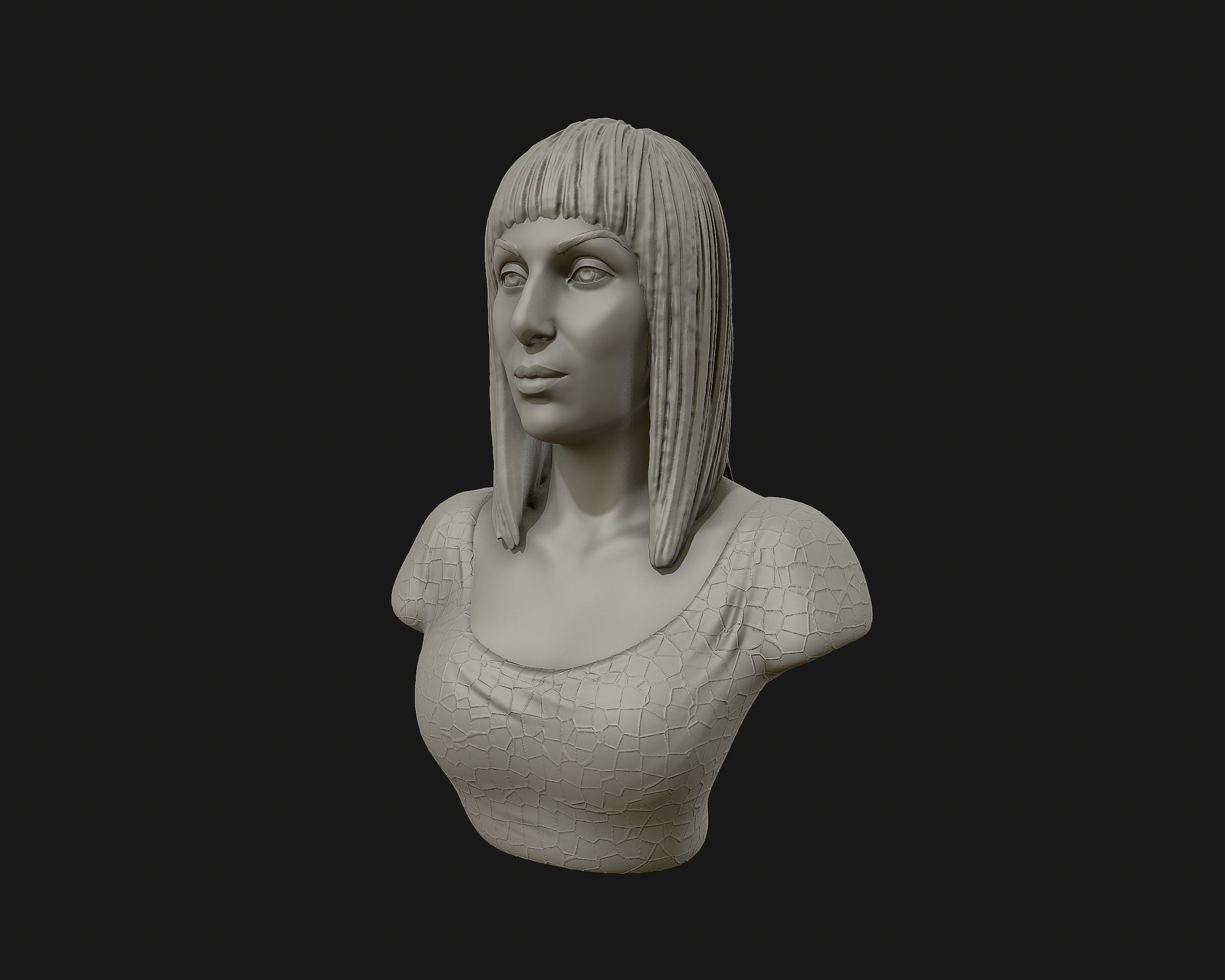 Cher portrait sculpture ready to 3D print 3D print model_7