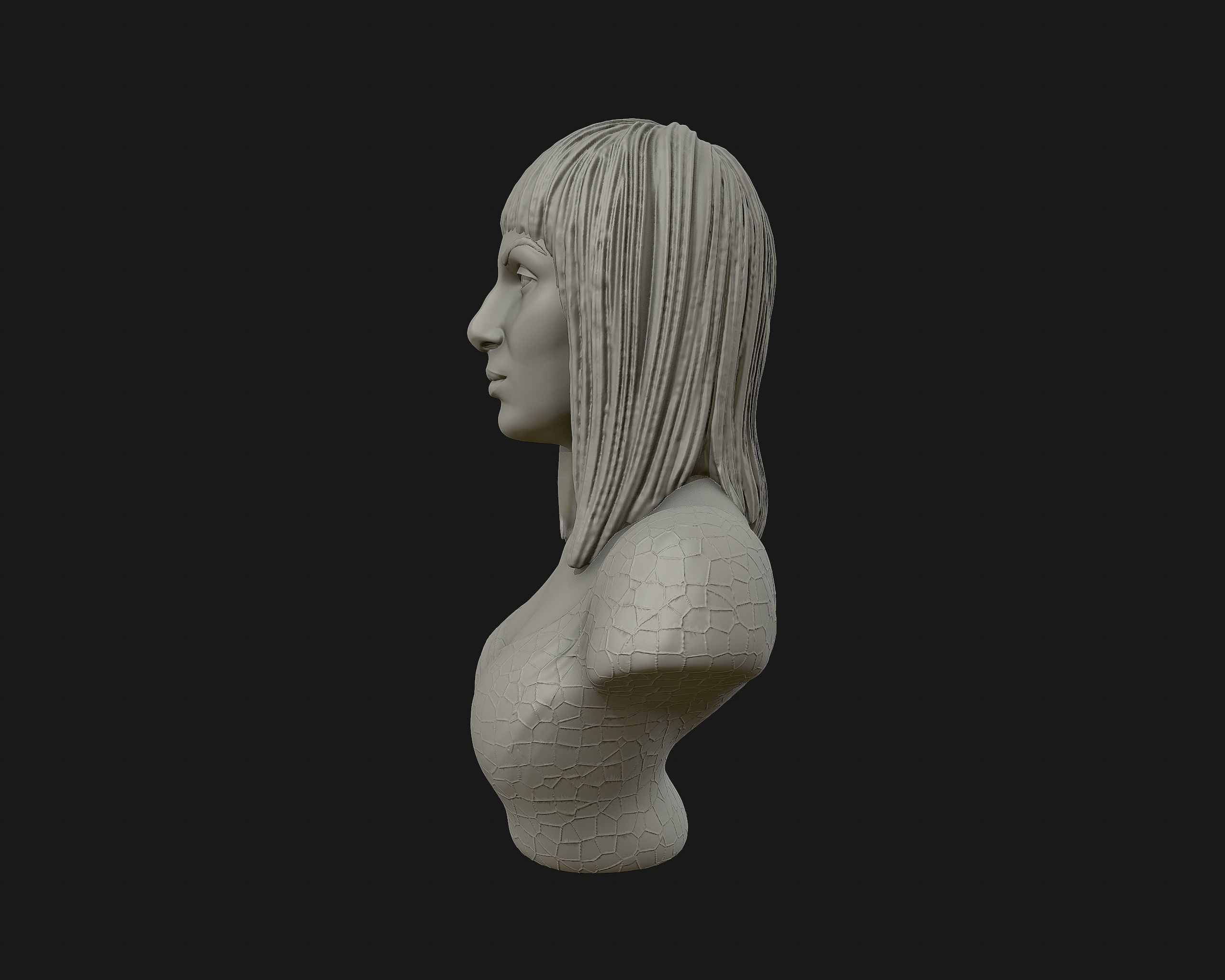 Cher portrait sculpture ready to 3D print 3D print model_11