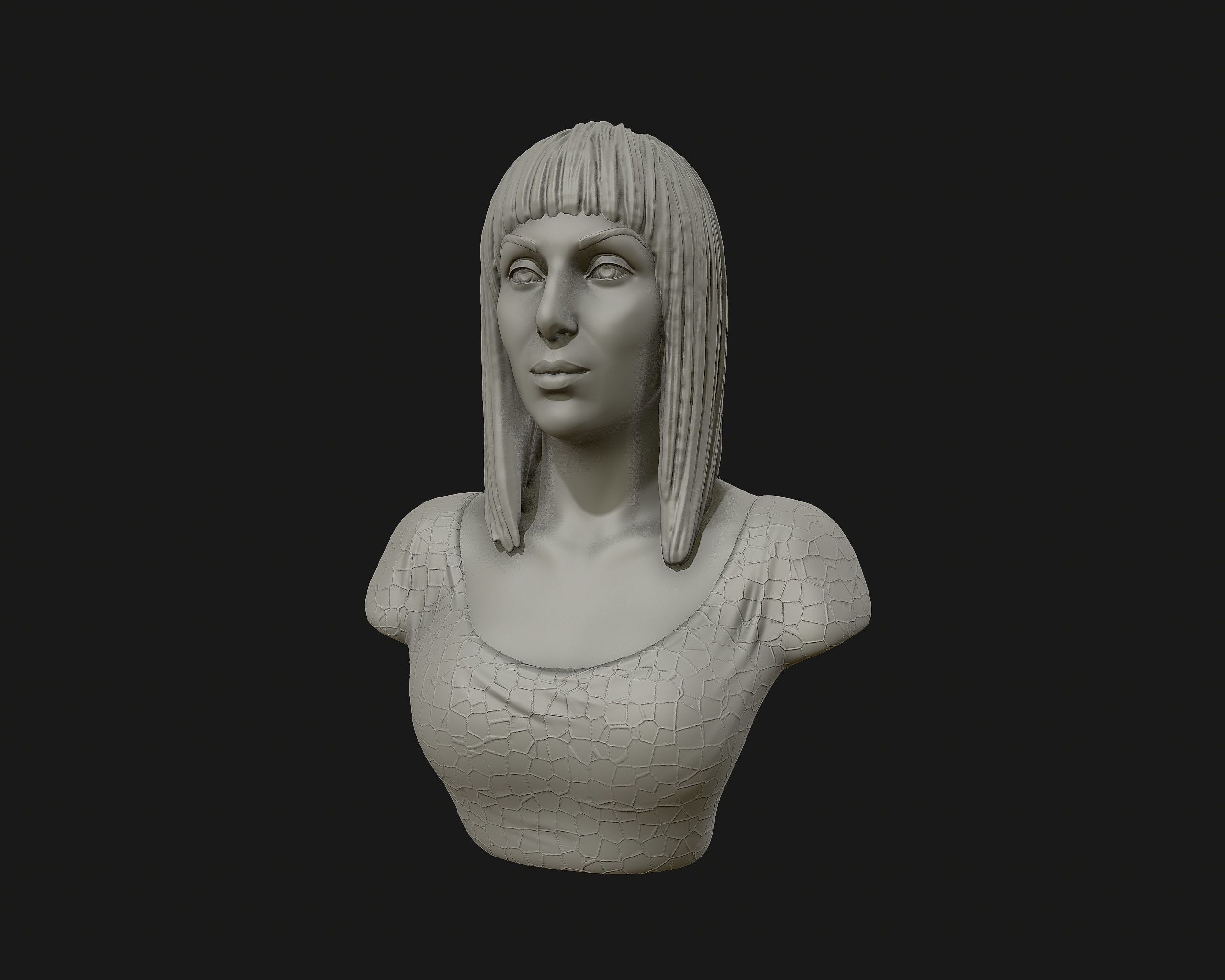 Cher portrait sculpture ready to 3D print 3D print model_6
