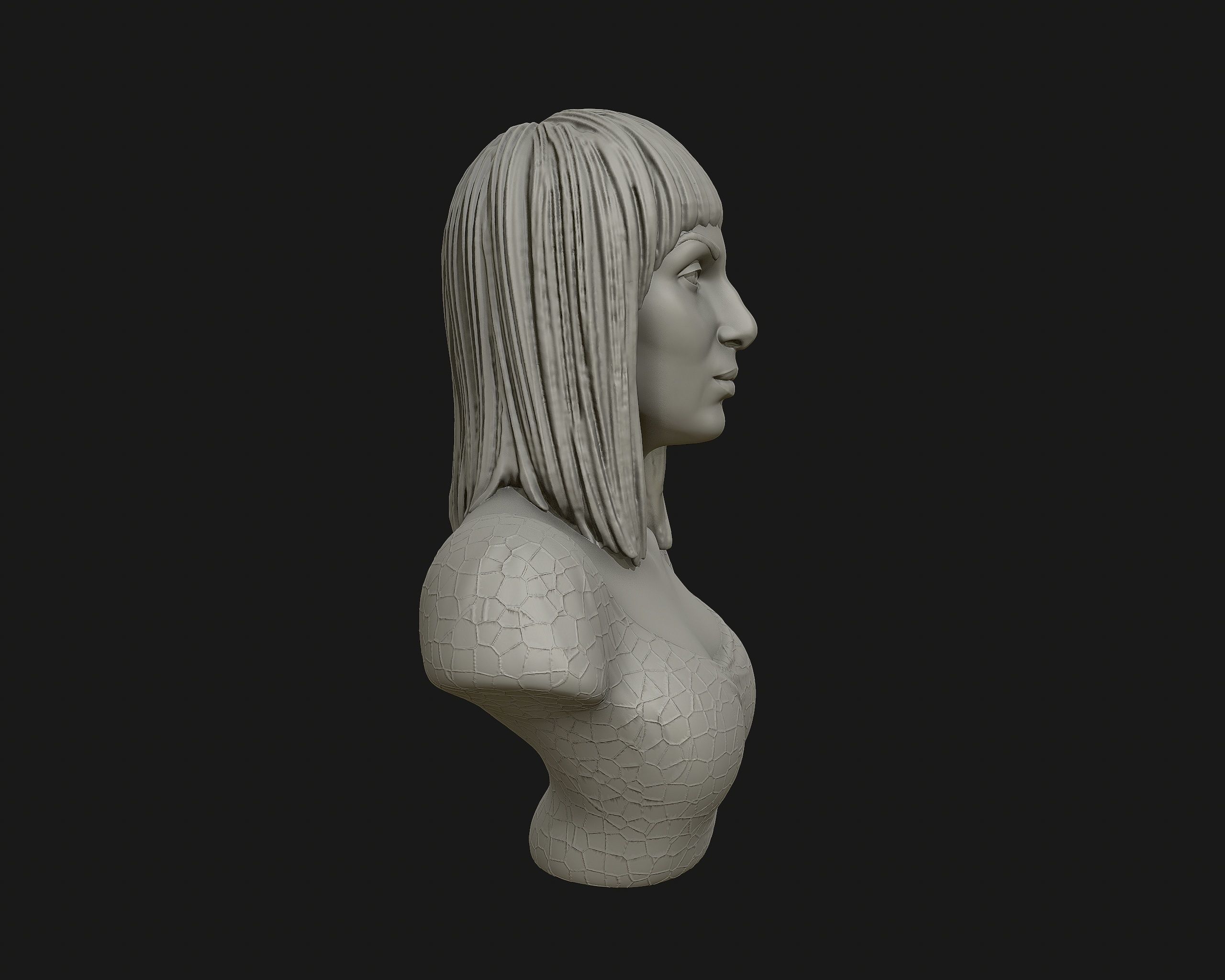 Cher portrait sculpture ready to 3D print 3D print model_14