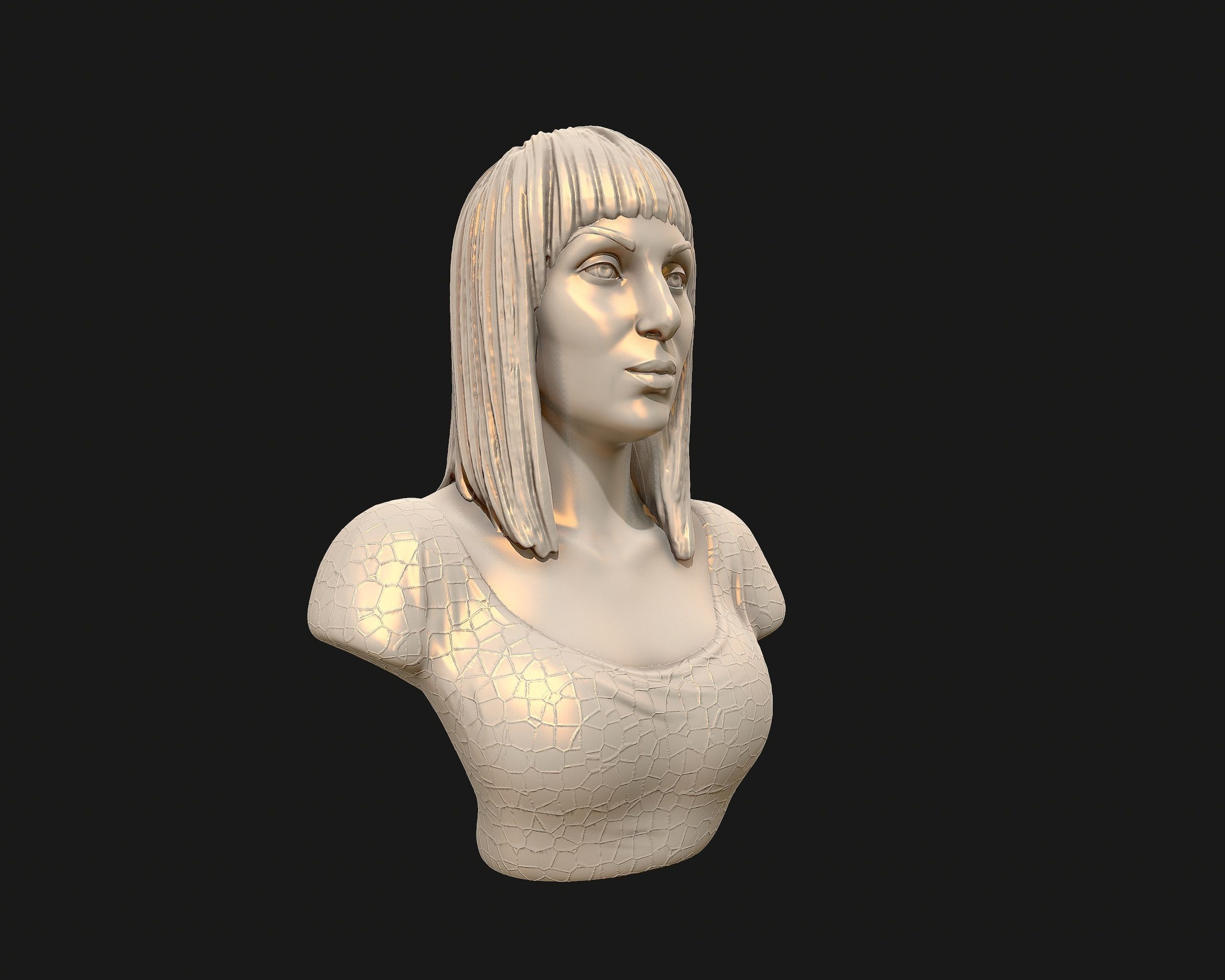 Cher portrait sculpture ready to 3D print 3D print model_26