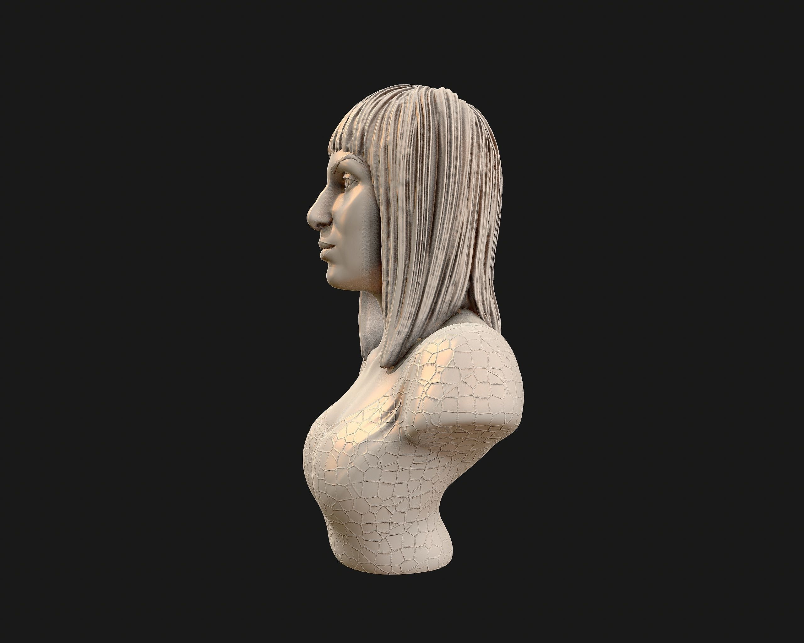 Cher portrait sculpture ready to 3D print 3D print model_24