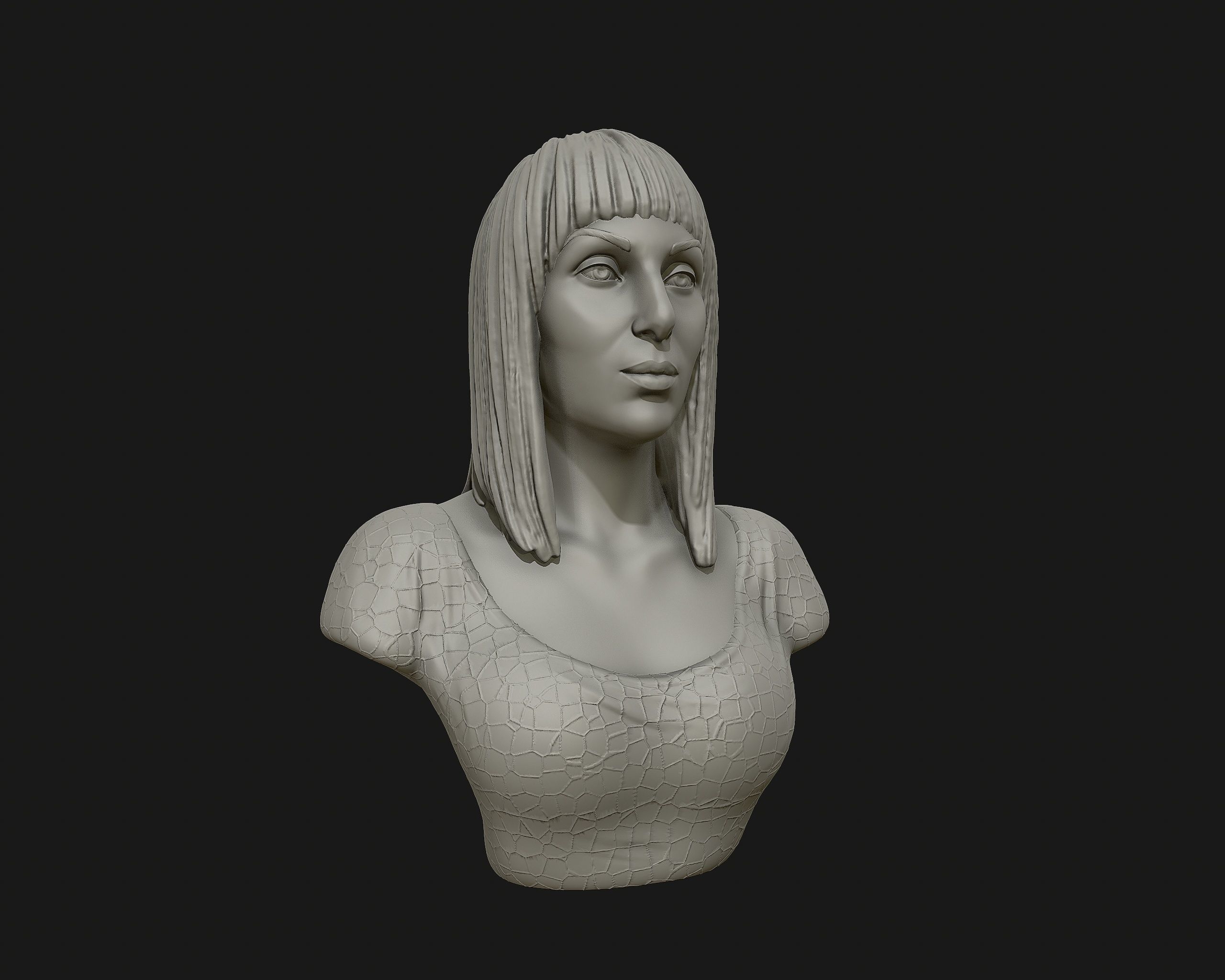 Cher portrait sculpture ready to 3D print 3D print model_1