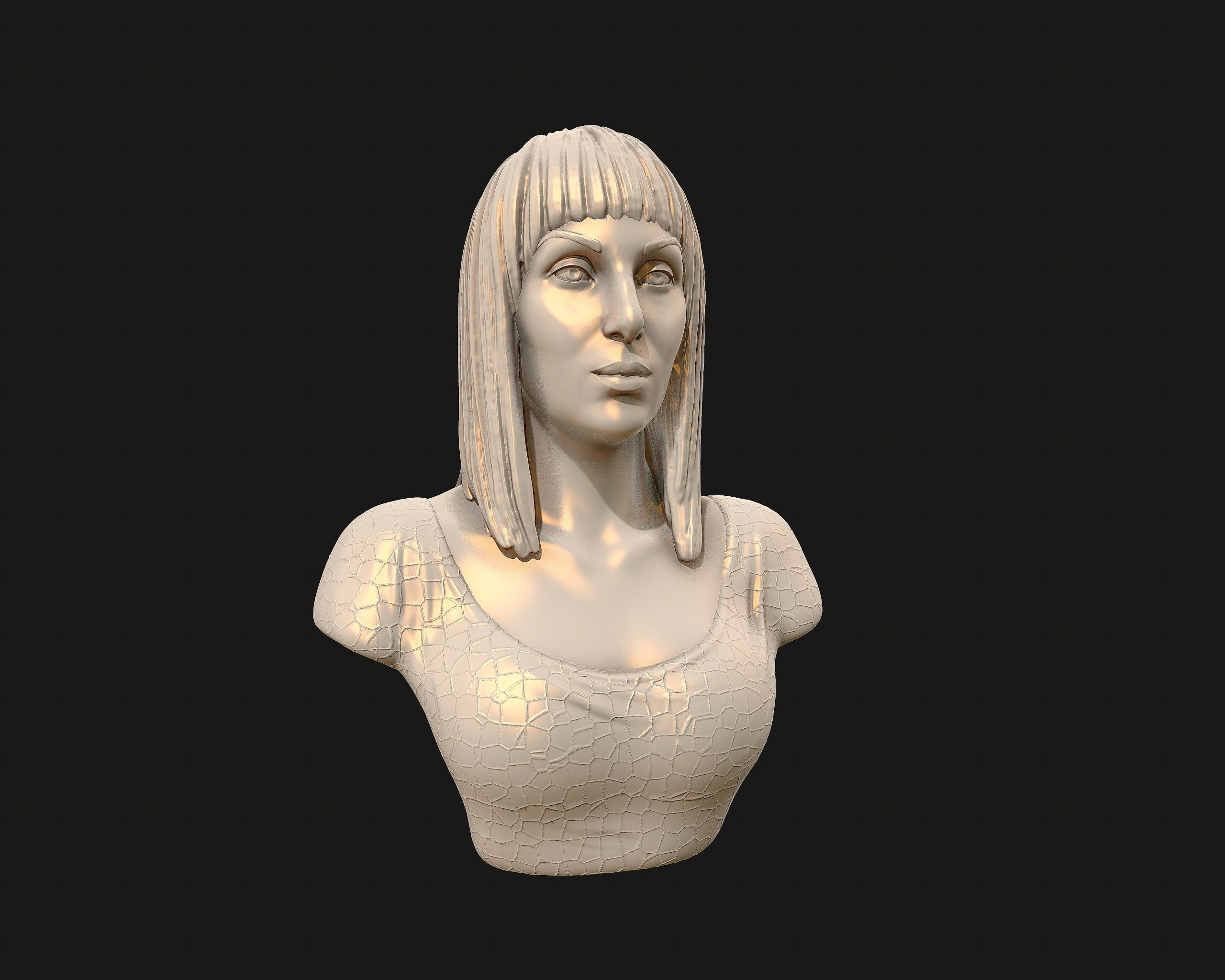 Cher portrait sculpture ready to 3D print 3D print model_27