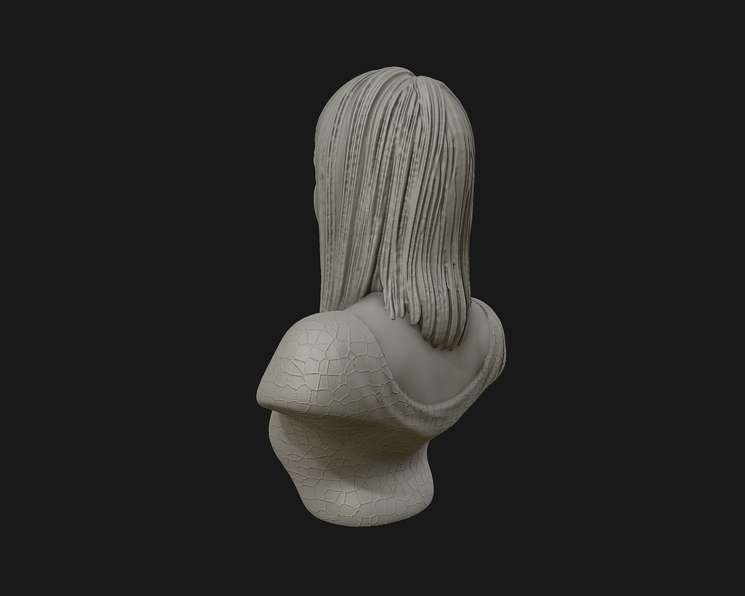 Cher portrait sculpture ready to 3D print 3D print model_12