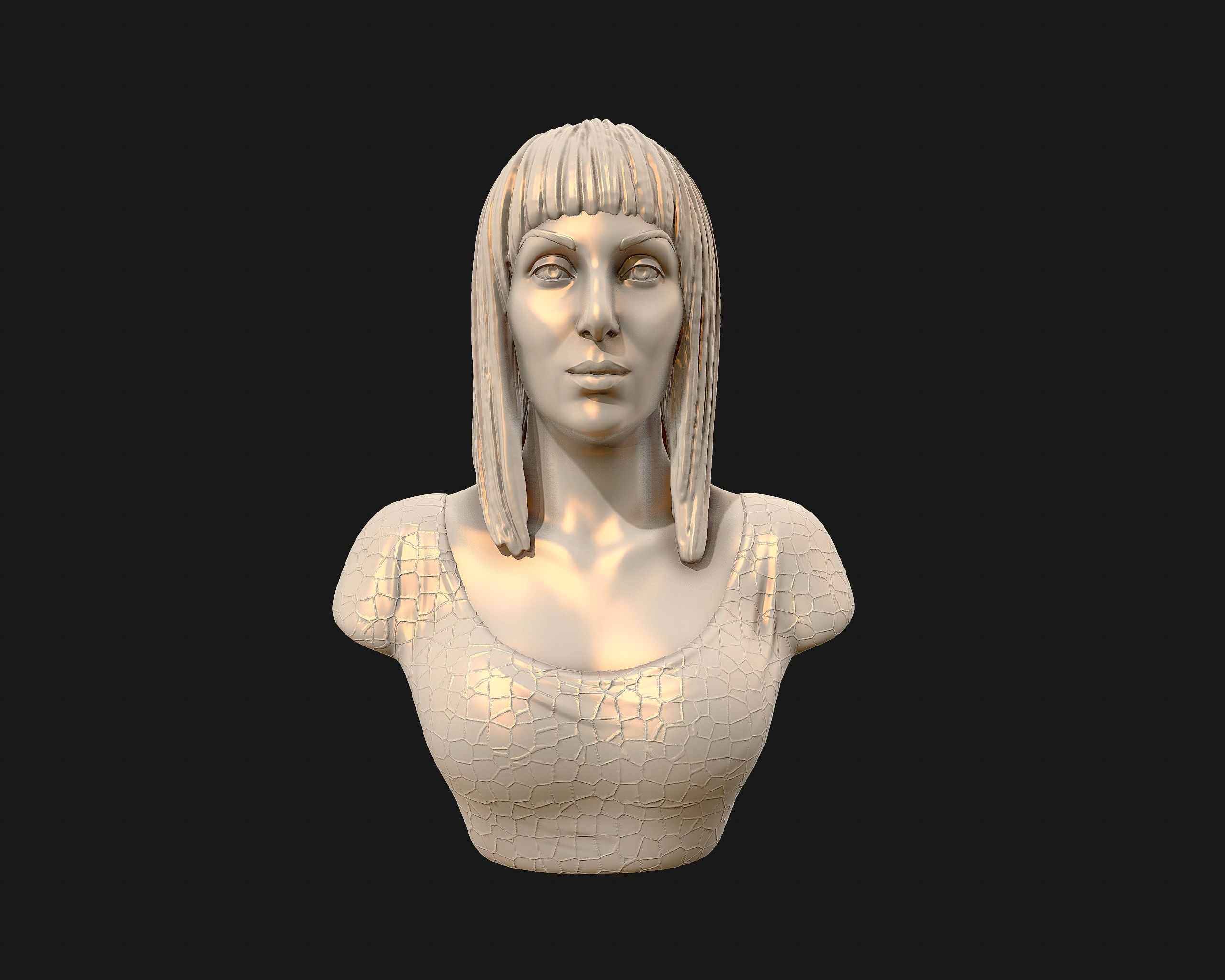 Cher portrait sculpture ready to 3D print 3D print model_19