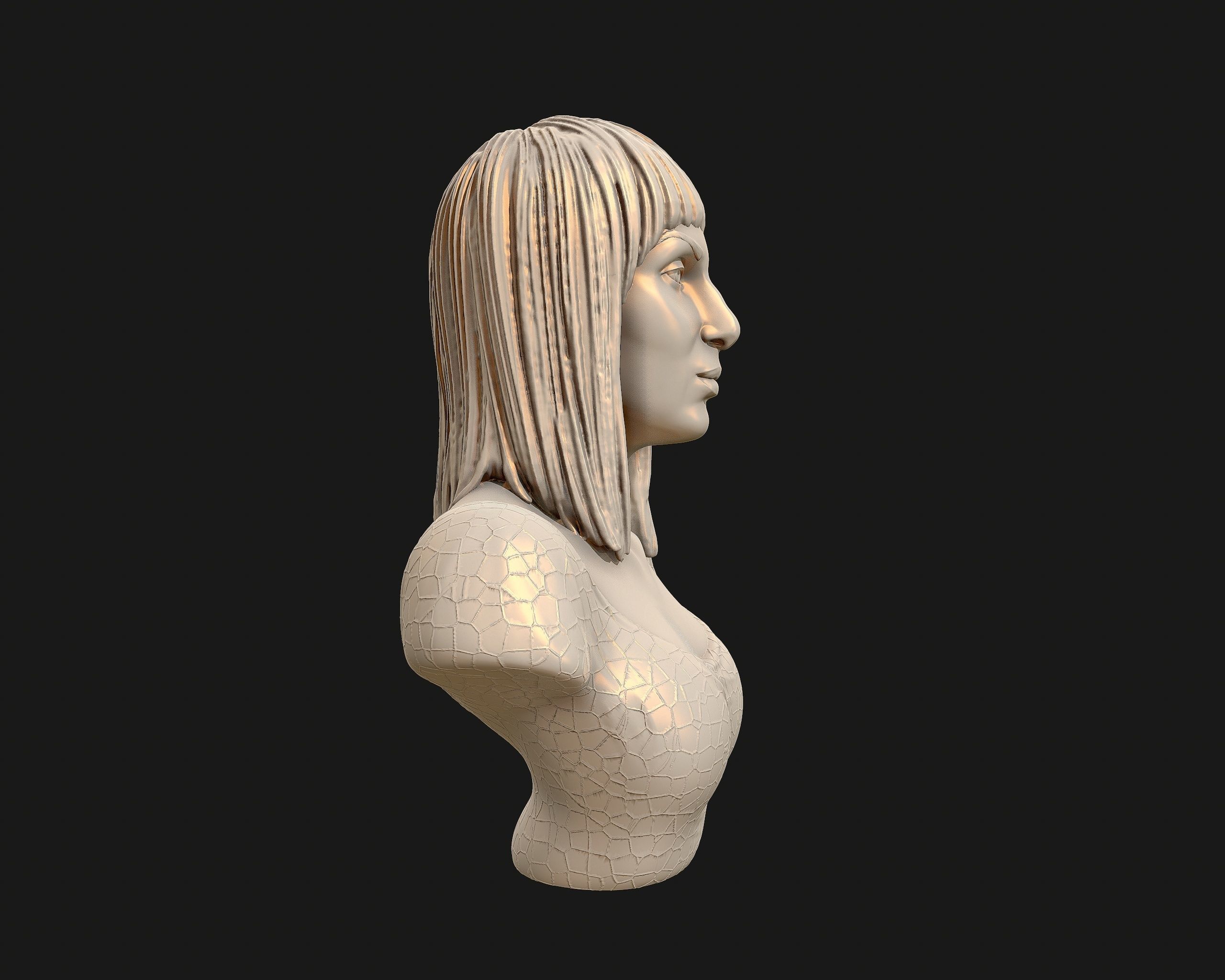 Cher portrait sculpture ready to 3D print 3D print model_25