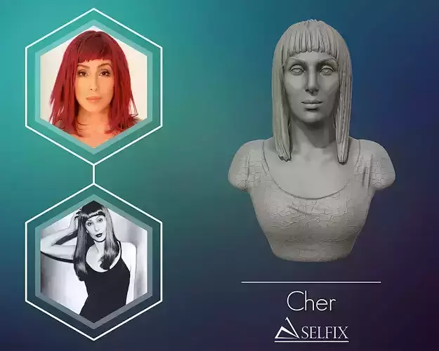 Cher portrait sculpture ready to 3D print 3D print model
