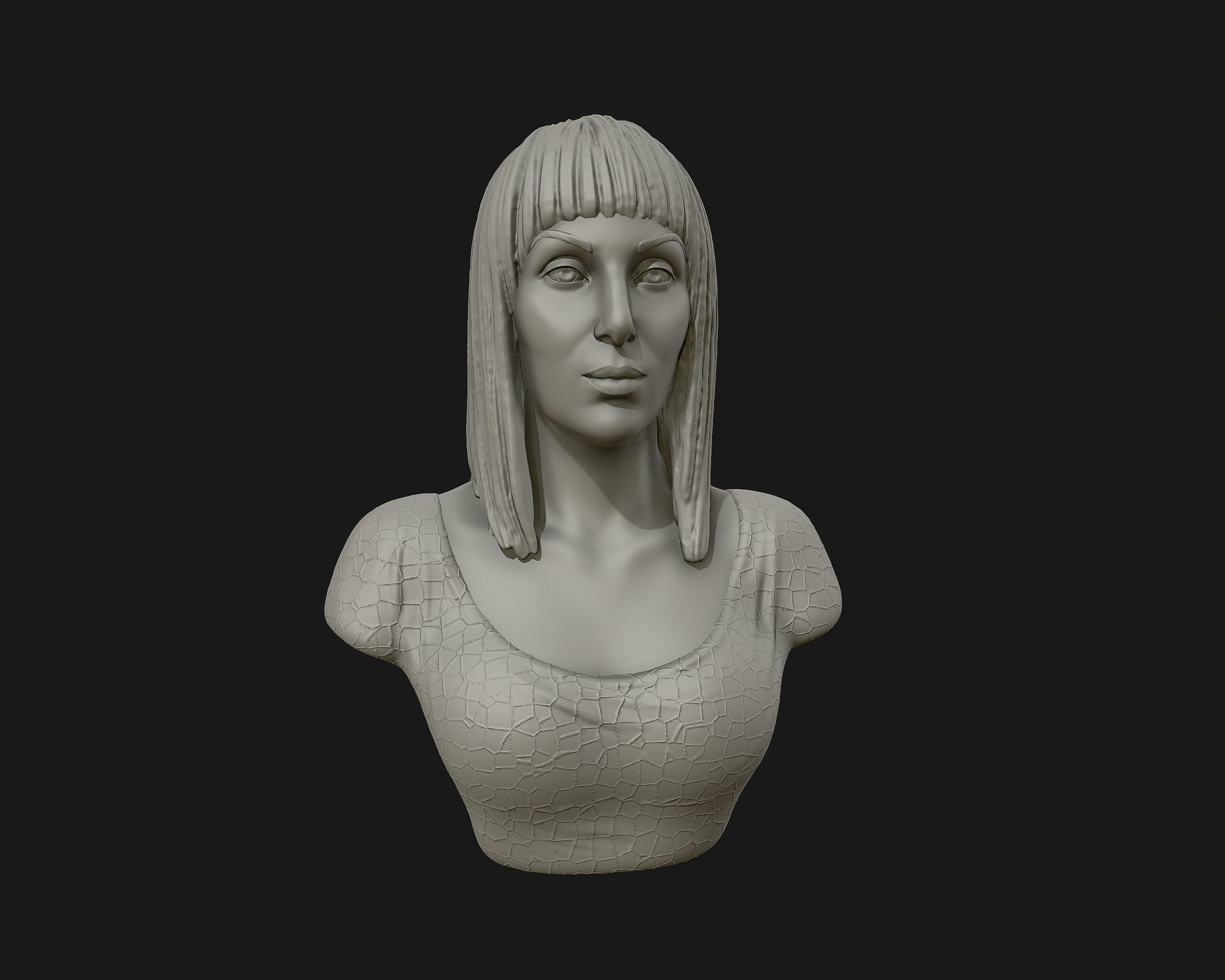 Cher portrait sculpture ready to 3D print 3D print model_18