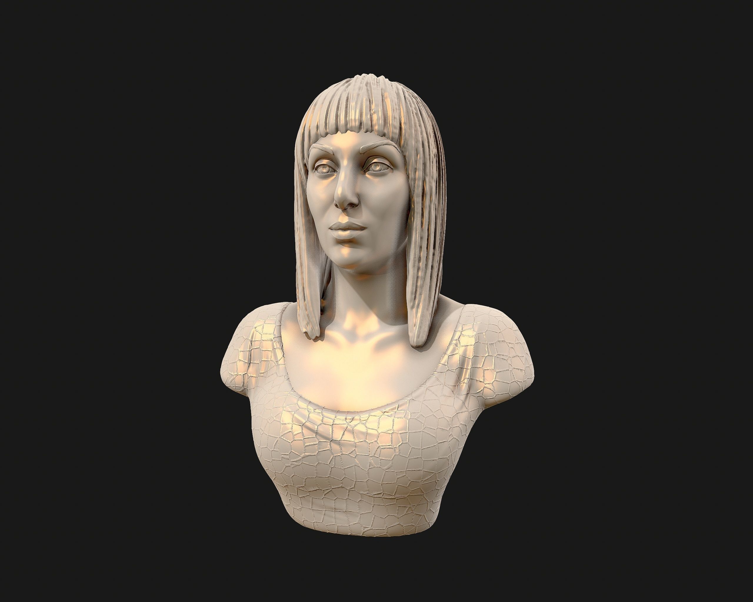Cher portrait sculpture ready to 3D print 3D print model_20