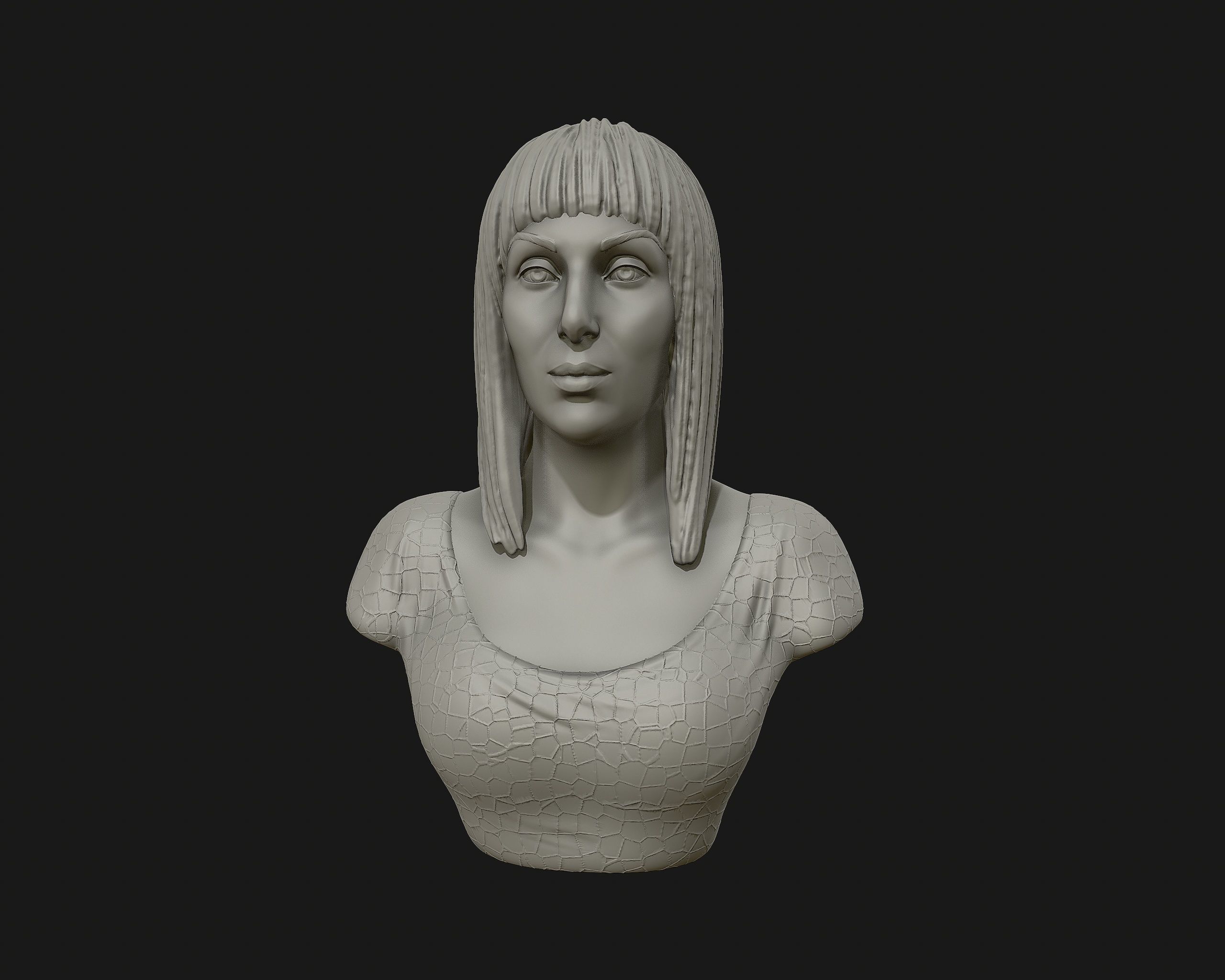 Cher portrait sculpture ready to 3D print 3D print model_5