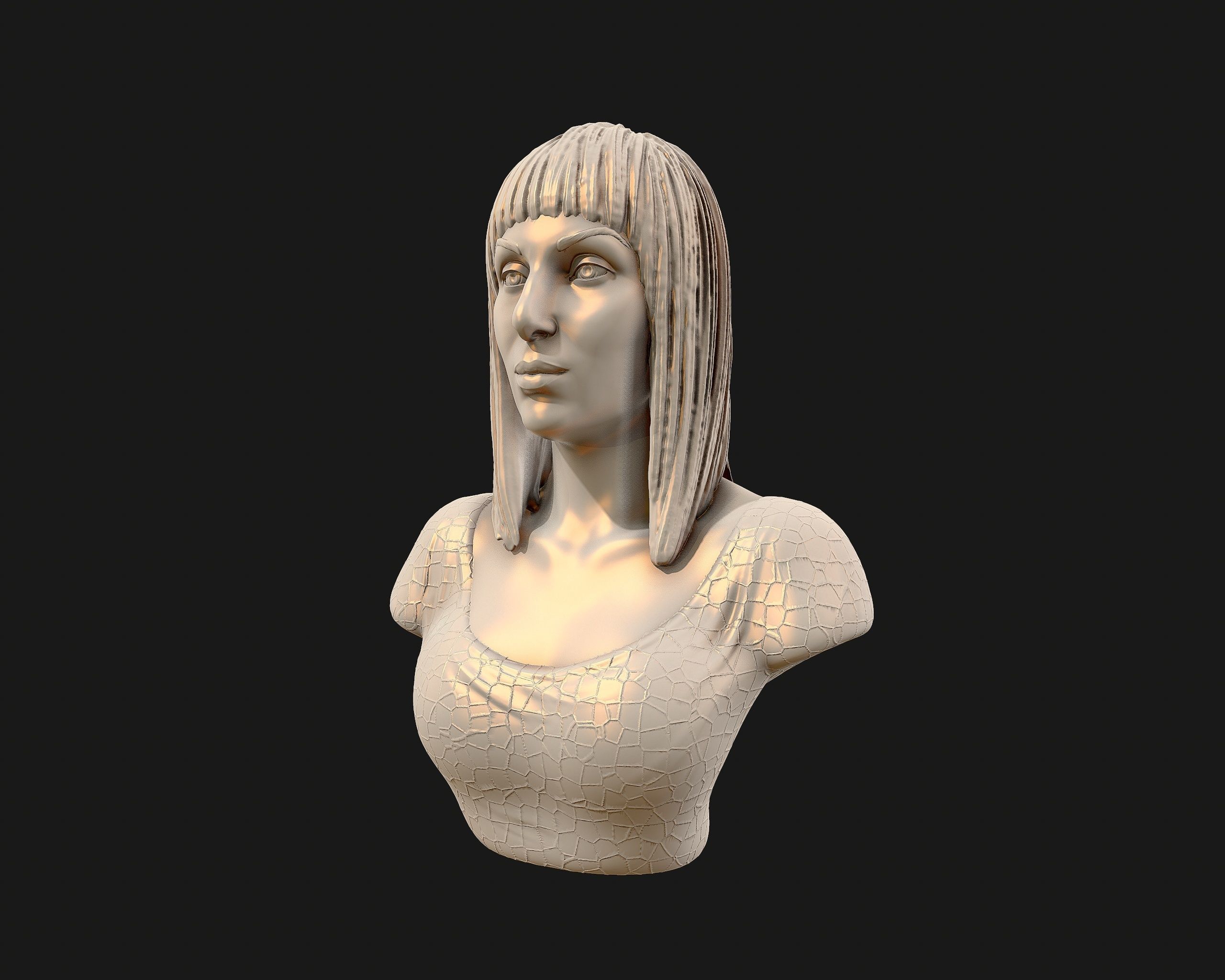 Cher portrait sculpture ready to 3D print 3D print model_21