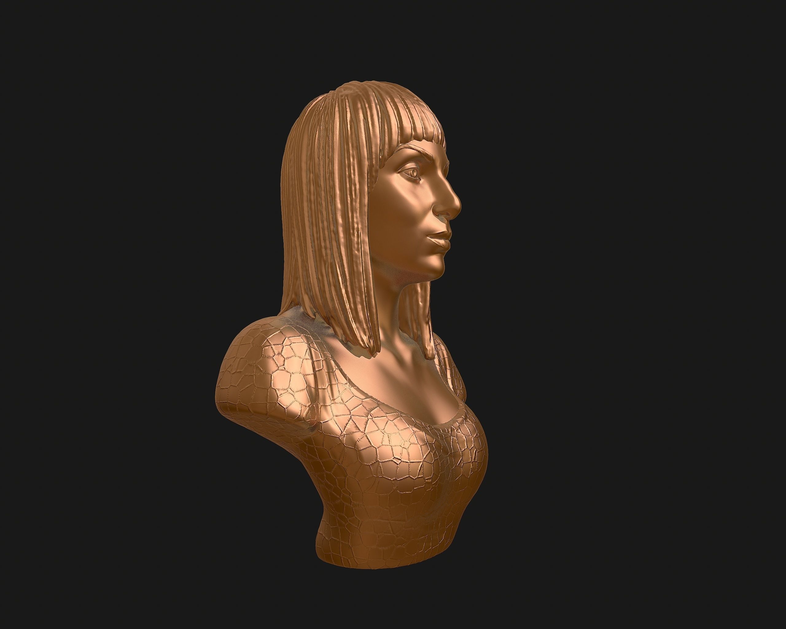 Cher portrait sculpture ready to 3D print 3D print model_33