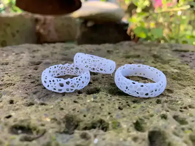 Voronoi rings