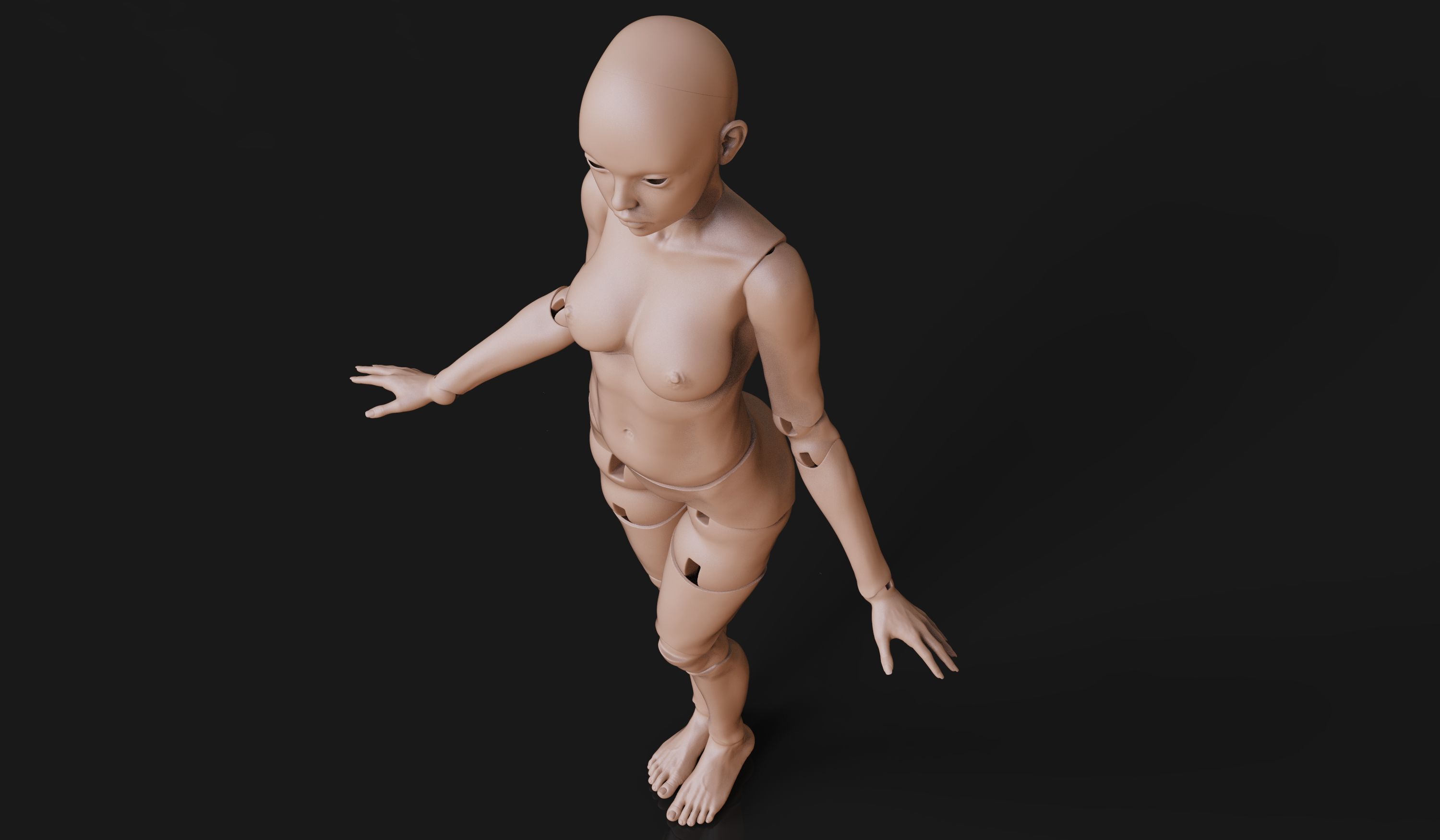 Sheila 3D BJD Doll articulateddolls bjdprinting balljointeddoll 3D print model_6