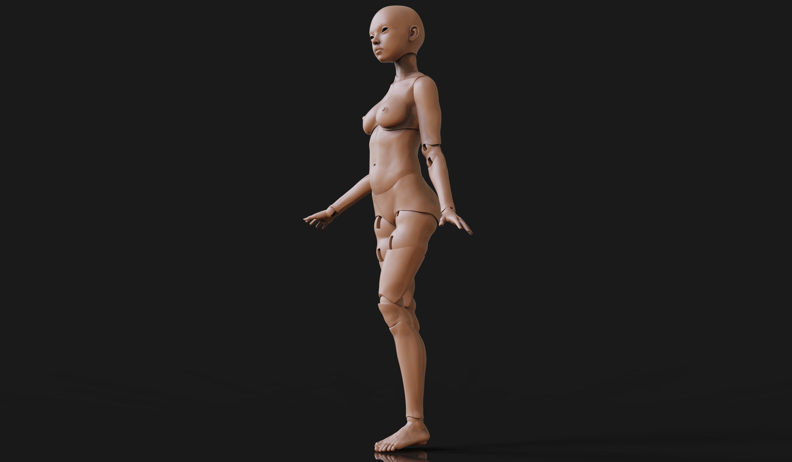 Sheila 3D BJD Doll articulateddolls bjdprinting balljointeddoll 3D print model_5