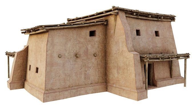 Common Shanty Low-poly 3D model 6