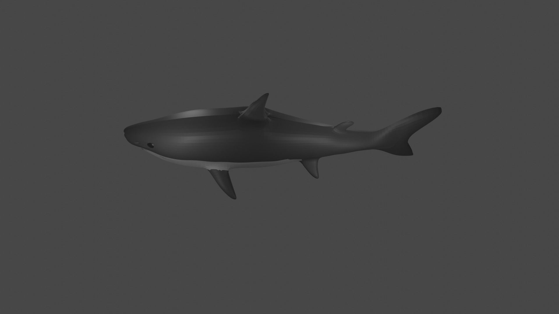 Shark Low-poly 3D model_5