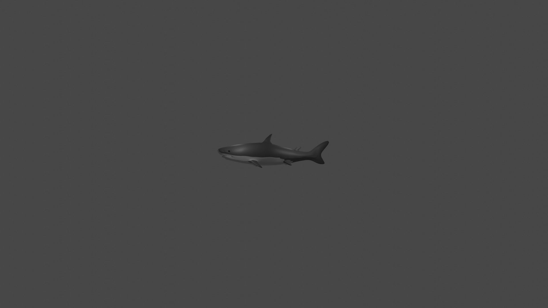 Shark Low-poly 3D model_2