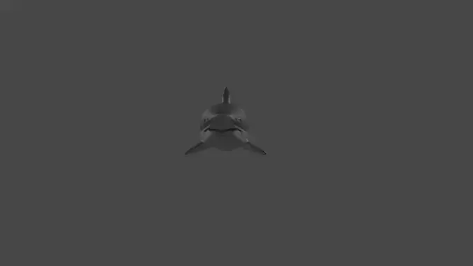 Shark