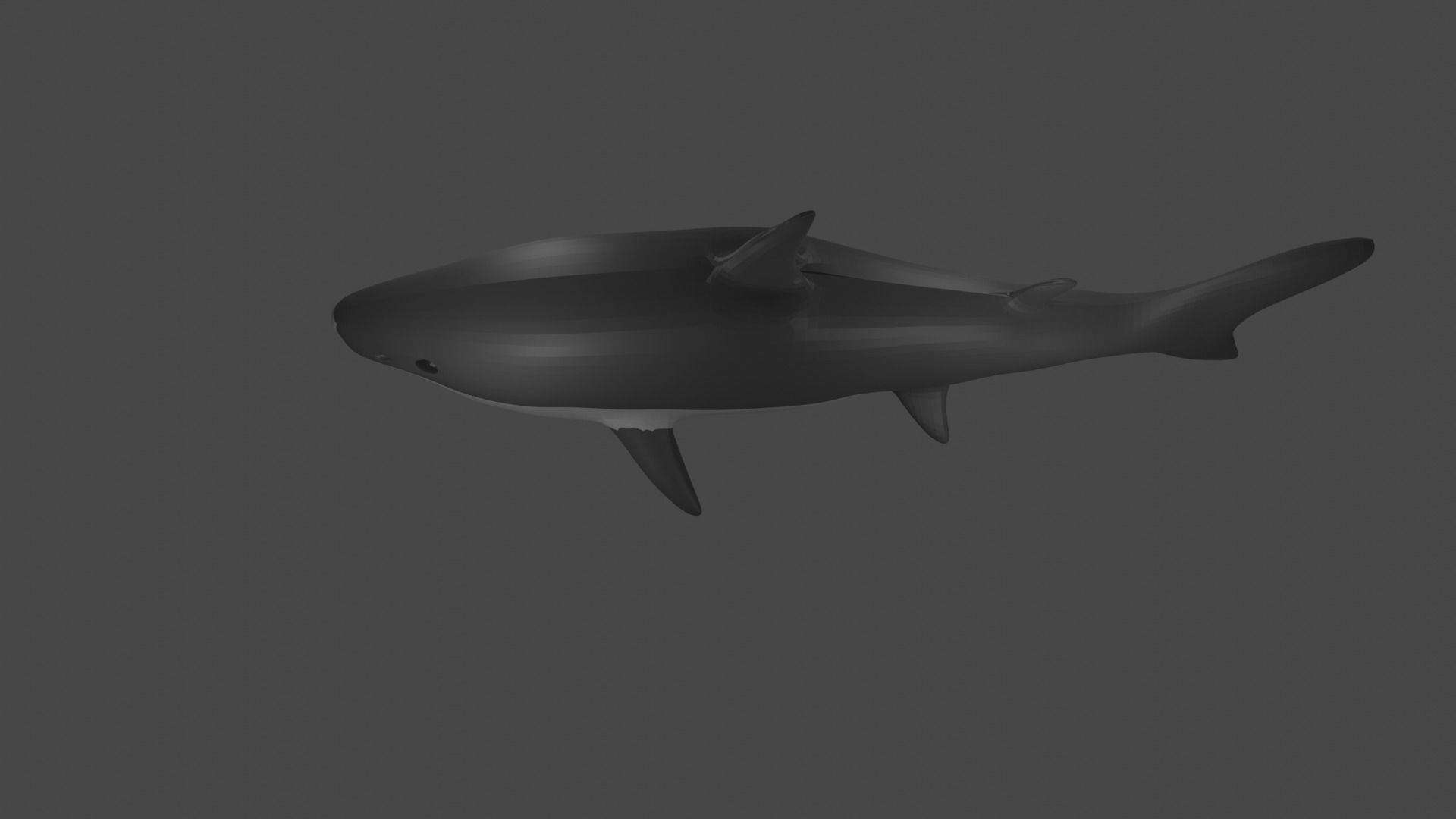 Shark Low-poly 3D model_3
