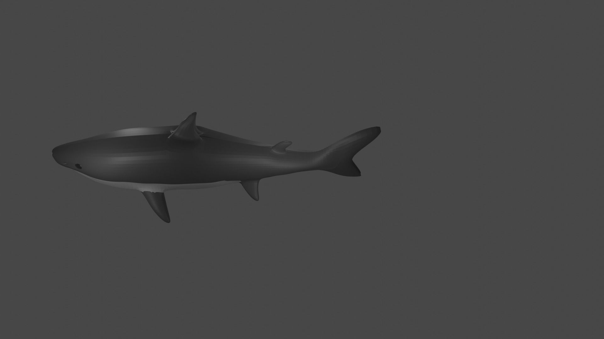 Shark Low-poly 3D model_4