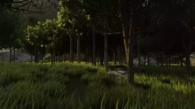 Forest with grass and trees 3D model