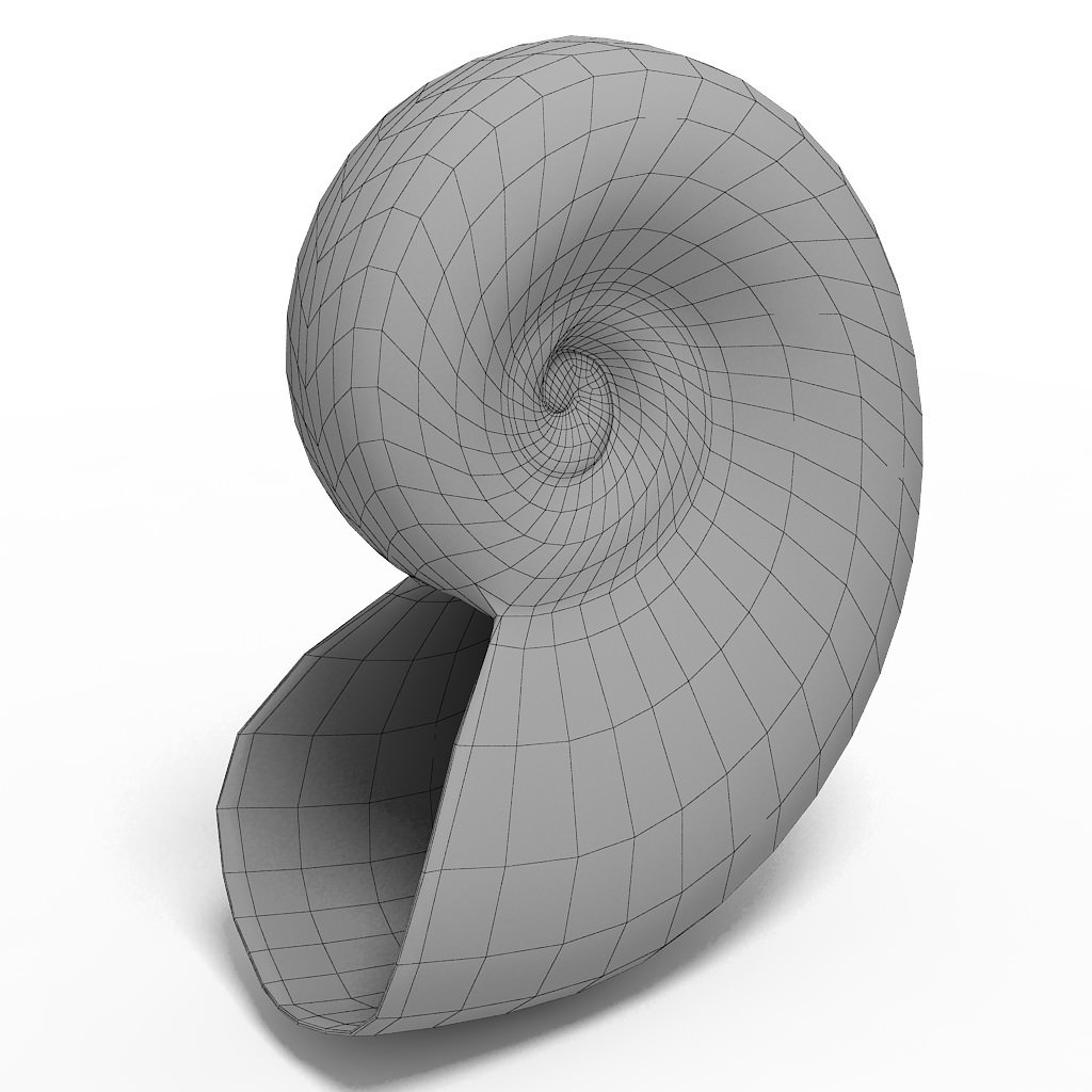 Seashell Nautilus 3D model_3