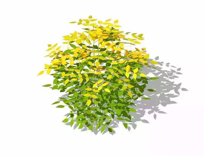 Nandina -heavenly bamboo - sacred bamboo - Extreme Low Poly