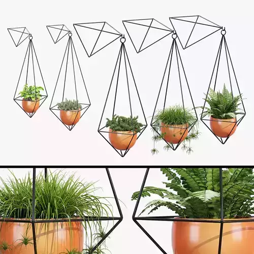 Vetre hanging planter with different plants in it