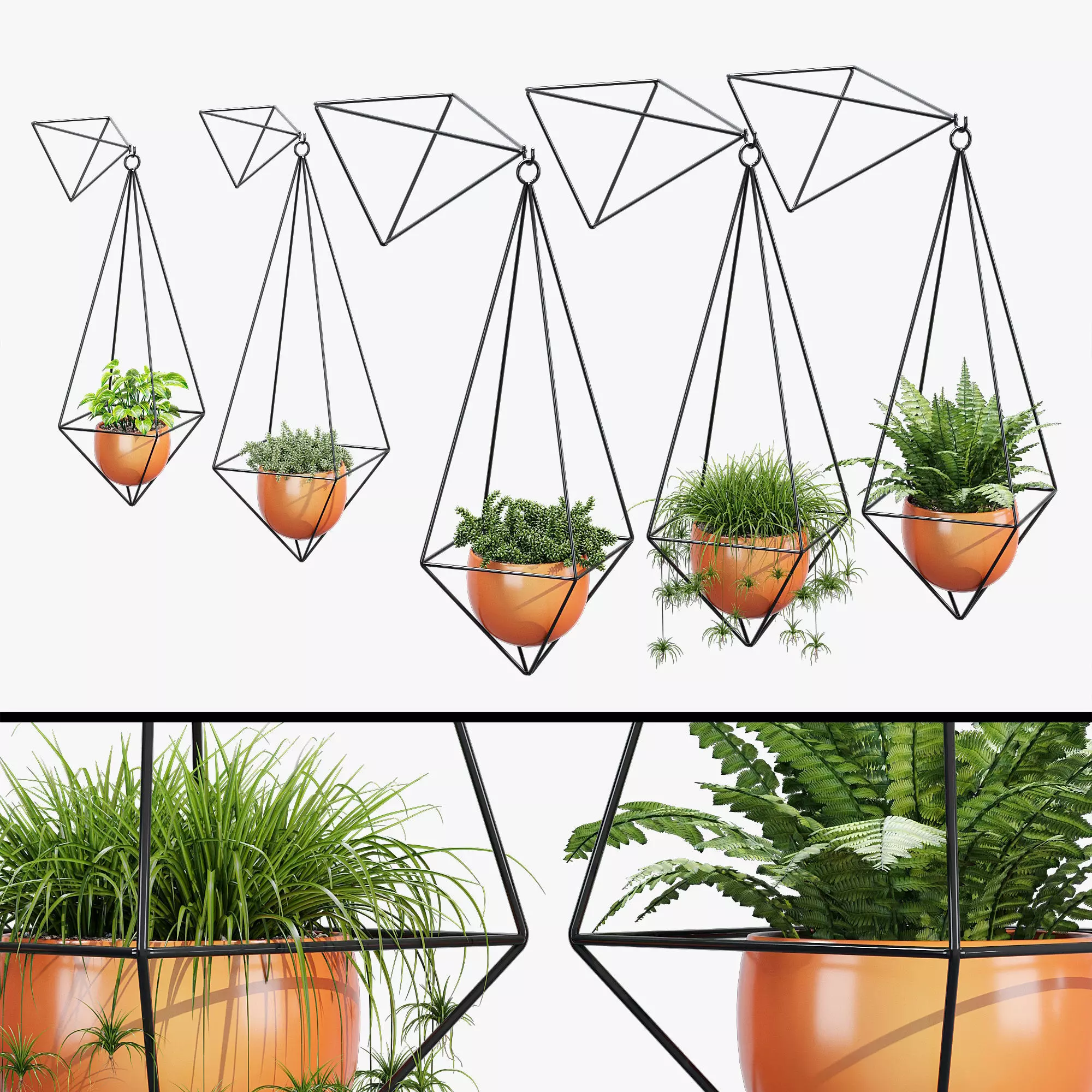 Vetre hanging planter with different plants in it 3D model