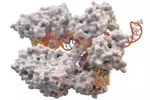 CRISPR 9 dna structure Free 3D print model