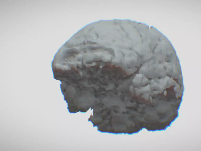 Brain of FELIPE LOPES MACHADO Free 3D print model