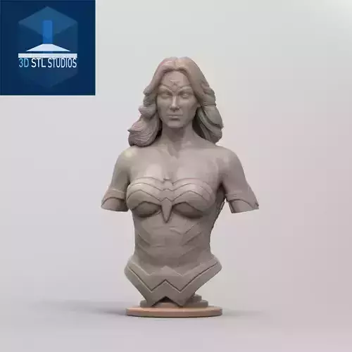 WONDER WOMAN 3D print model 3D print model