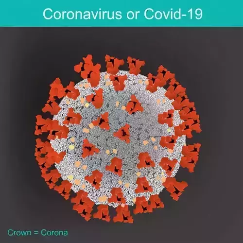 CROWN OF COVID 19 Free 3D print model