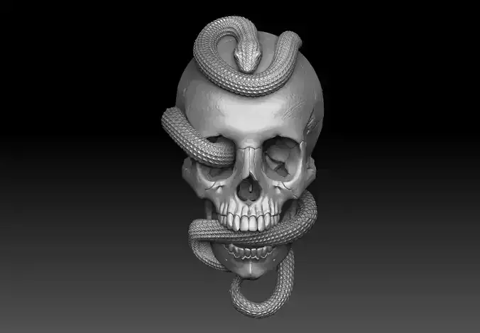 Skull with snake Bas-Relief cnc  3D print model 3D print model