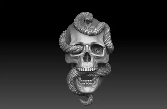 Skull with snake Bas-Relief cnc  3D print model 3D print model
