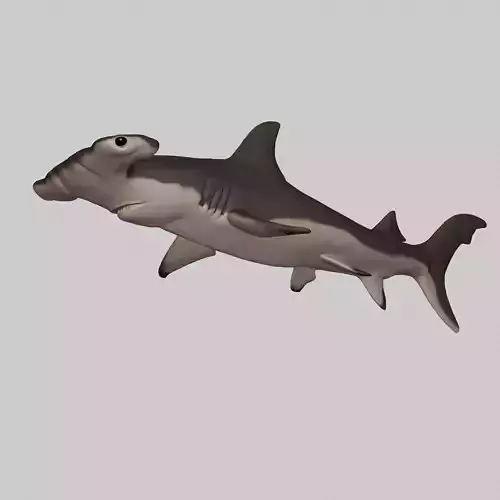Hammerhead Shark 3D print model