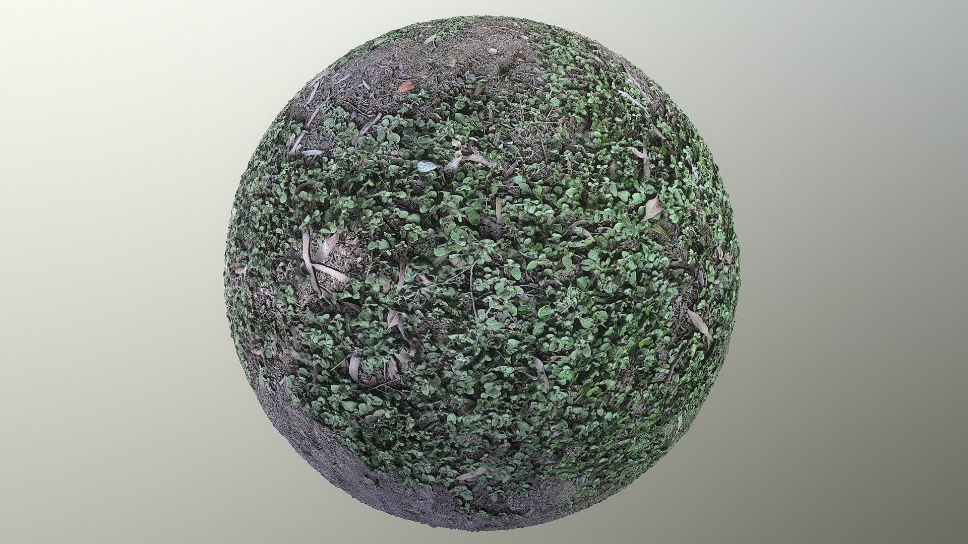 PBR GRASSS 02 MIXED 4K PNG Texture_3