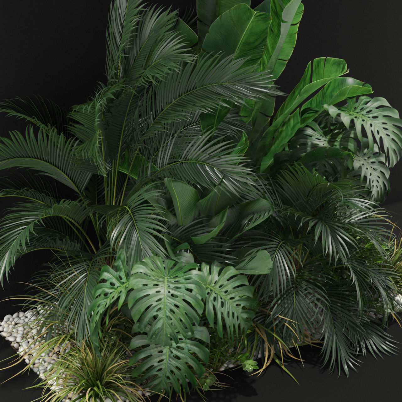 Plants collection 357 3D model_1