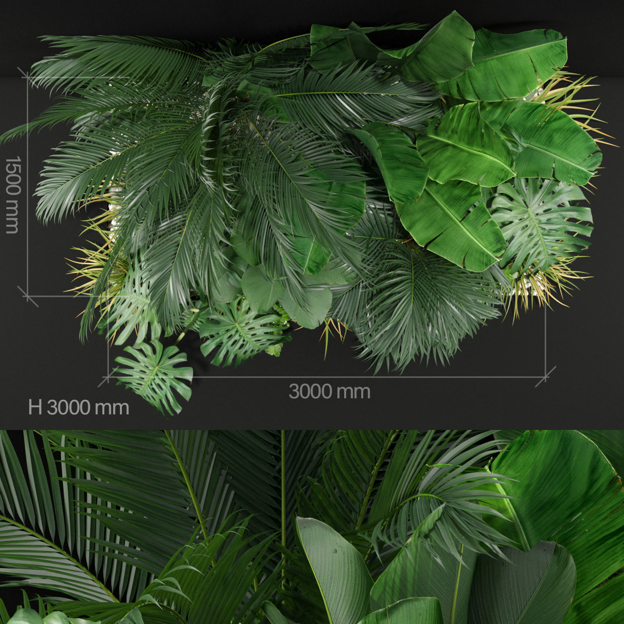 Plants collection 357 3D model_2