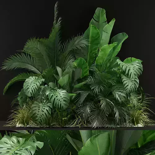 Plants collection 357 3D model