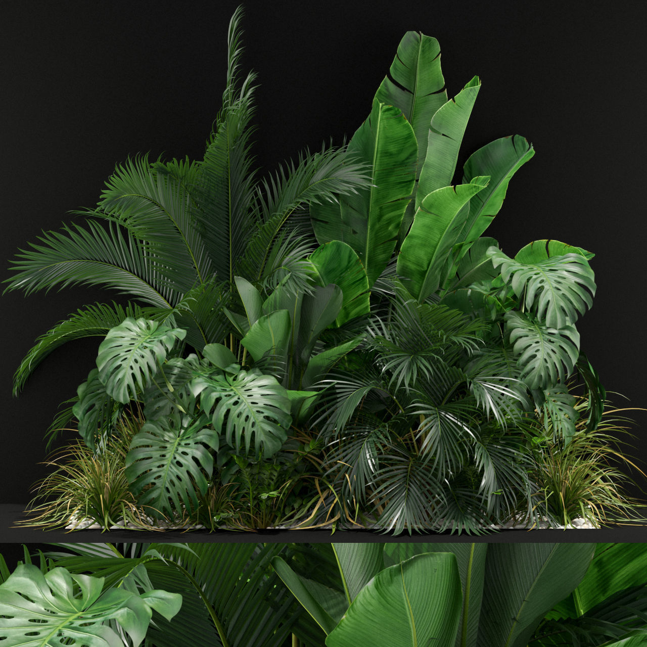 Plants collection 357 3D model_0