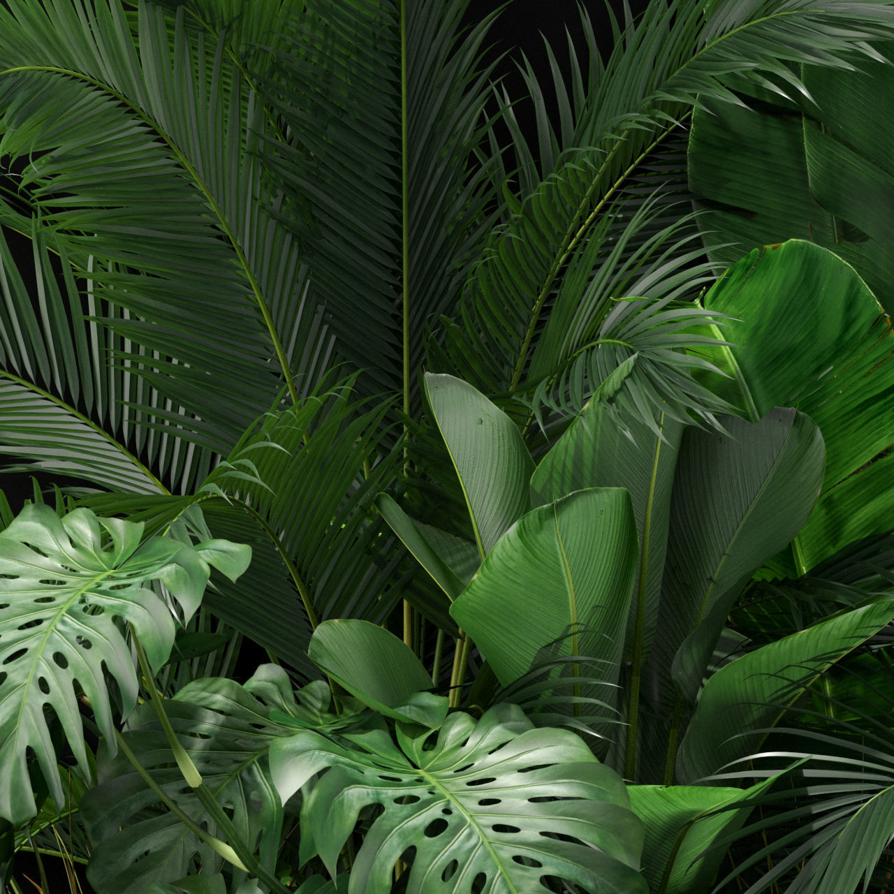 Plants collection 357 3D model_3