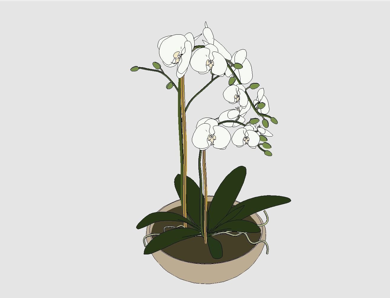 Revit Family plant - Three sizes- High quality 3D model 3D model_44