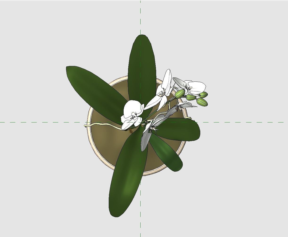 Revit Family plant - Three sizes- High quality 3D model 3D model_29