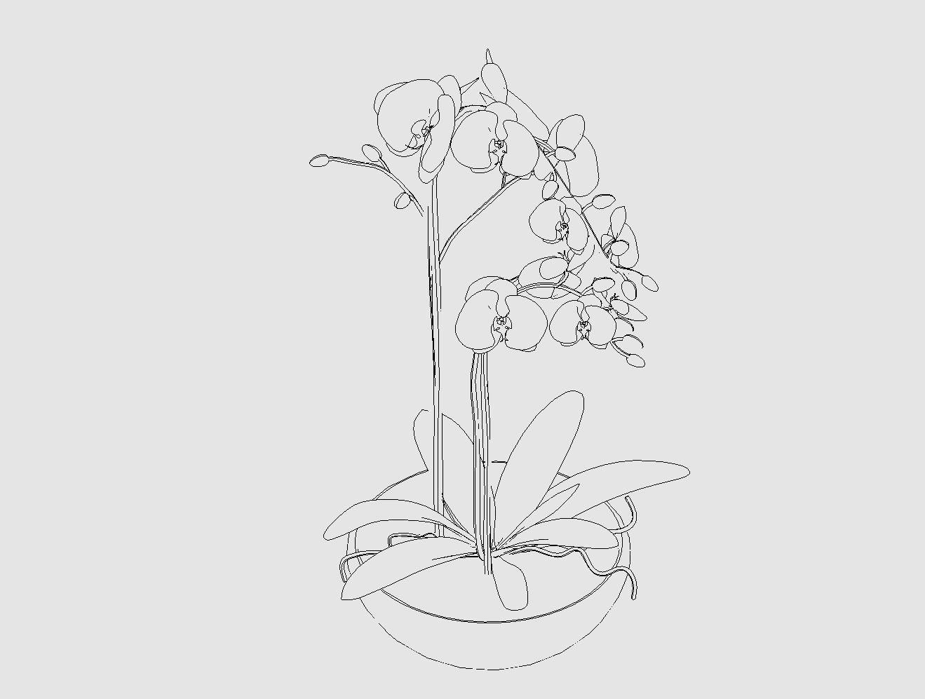 Revit Family plant - Three sizes- High quality 3D model 3D model_46