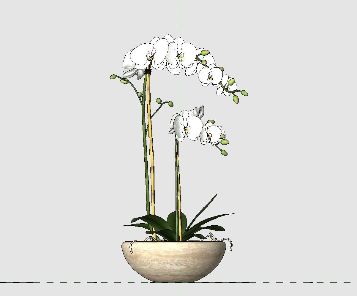 Revit Family plant - Three sizes- High quality 3D model 3D model_35