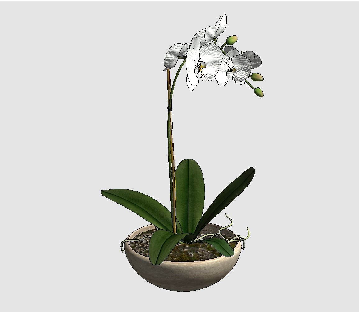 Revit Family plant - Three sizes- High quality 3D model 3D model_31